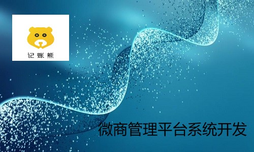 微商管理平台系統開(kāi)發(fā)案例